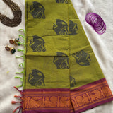 Kayalvizhi Kanchi cotton saree Yazhi motifs