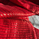 Prasanna Vadana Tussar silk by tissue stripes saree