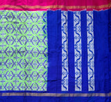 Nalini pure silk Rajkot style Ikat saree