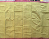 Olives and grapes handwoven missing checks Mangalgiri saree with blouse