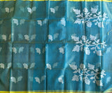 Anupa Organza Jamdani saree with blouse