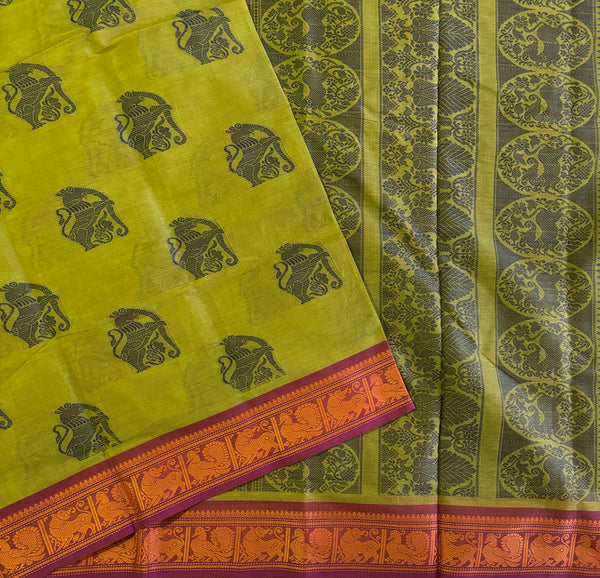 Kayalvizhi Kanchi cotton saree Yazhi motifs