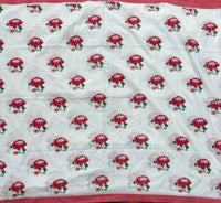 Jalaja soft mul cotton saree with block prints
