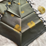 Seetha handwoven silk Chinnalampattu