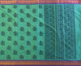 Senthamarai Kanchi cotton saree Yazhi motifs