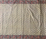 Nainika - Sanganeri block printed mul cotton saree
