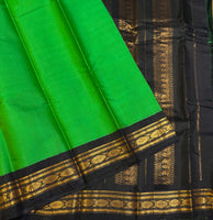 Anasuya Handwoven Gadwal cotton with silk kuttu border