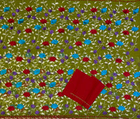 Anahita resham kota saree with Parsi gara embroidery