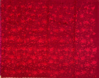 Shirin resham kota saree with Parsi gara embroidery