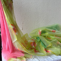 Padmasundari resham organza saree with Jamdani needlework