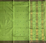 Sripada - Handloom Godavari cotton