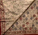 Vishaka - Kalamkari cotton sari