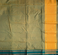 Haritha Thoranam -Handwoven Guntur saree
